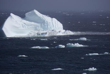 Sea Ice