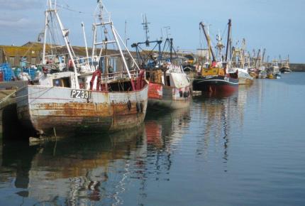 How do we build adaptive capacity in UK fishing fleets?​