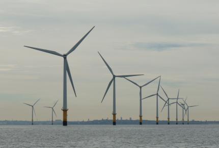 Rampion OWF, Sussex. Credit ABPmer