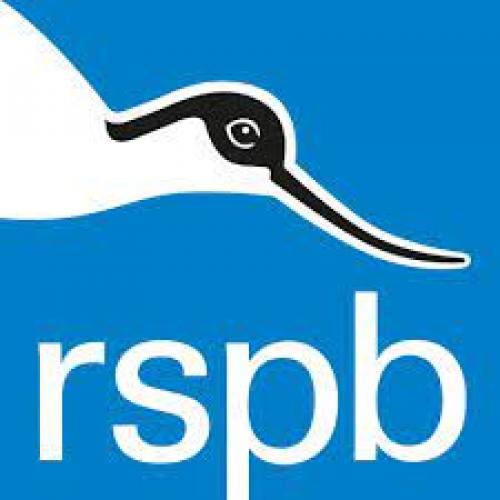 RSPB Logo