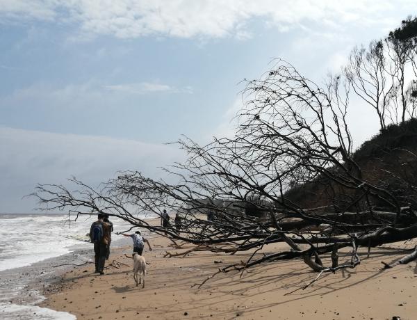 People walking along eroding coastal cliffs, Suffolk UK