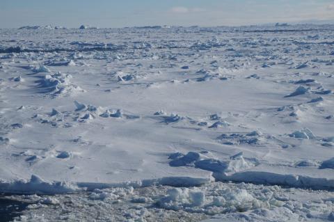 Sea Ice
