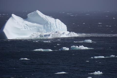 Sea Ice