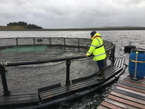 Aquaculture | Marine Climate Change Impacts Partnership