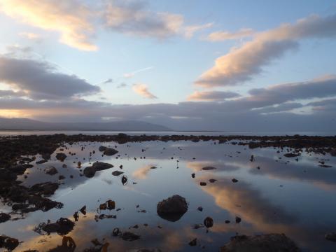 Rockpool reflection, Cumbria Coast MCZ. Credit Natural England