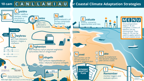 Visual summary of the COCO Wales Blueprint.